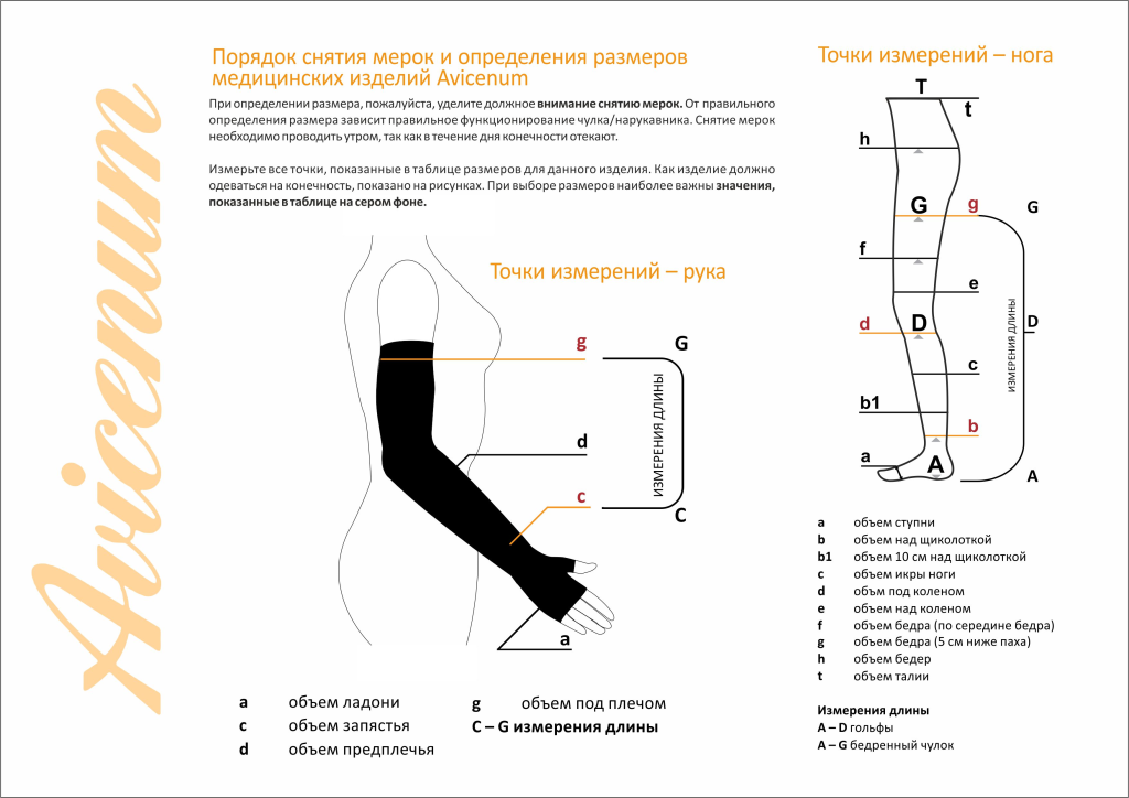 Без названия.png