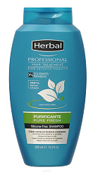 Herbal Professional Hair Treatment Очищающий шампунь для волос, склонных к жирности 500 мл