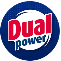 Dual Power