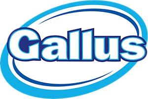 Gallus