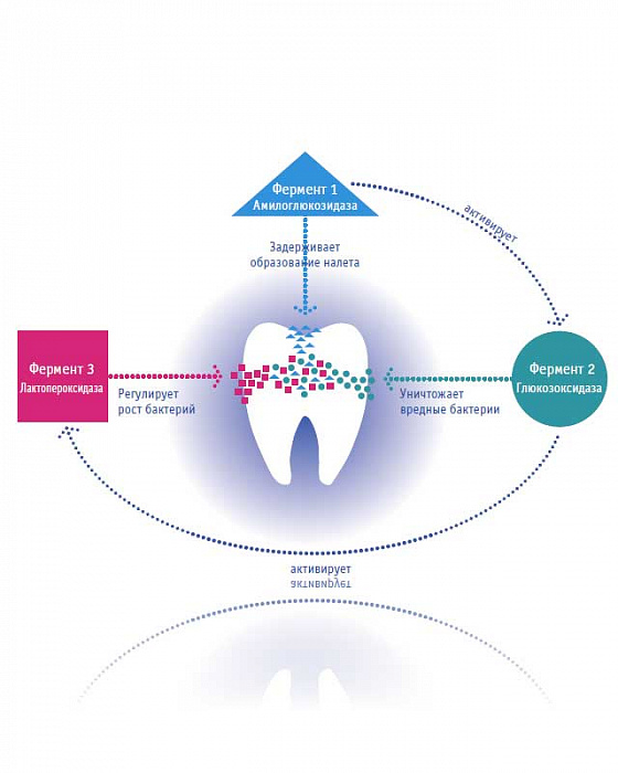 Curaprox Зубная паста Enzycal 950 ppm, 75 мл
