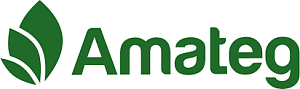 Amateg