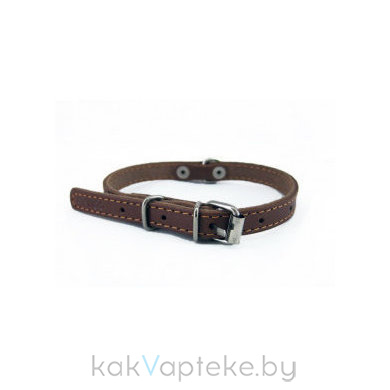 CoLLaR Ошейник одинарный  для собак, ширина 10мм, длина 22- 30см , коричневый