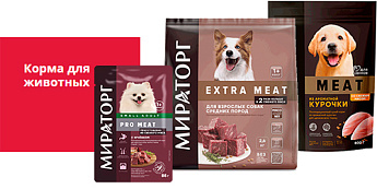 Вкусные новинки для наших пушистых друзей!