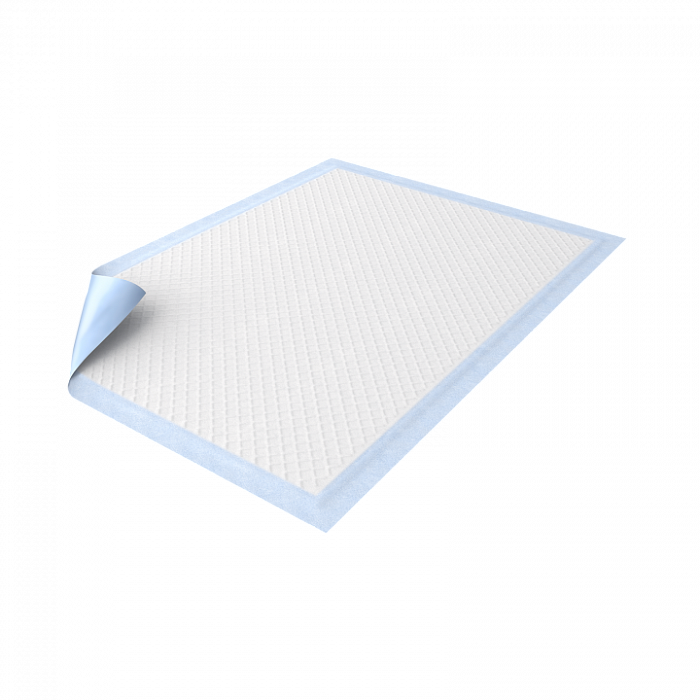 Dailee Пеленки впитывающие одноразовые (60х60см), 10 шт