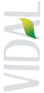 VIDAL