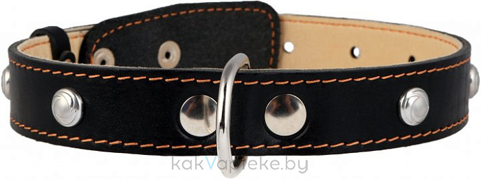 CoLLaR Ошейник одинарный  для собак,ширина 35мм, длина 47-62 см,черный