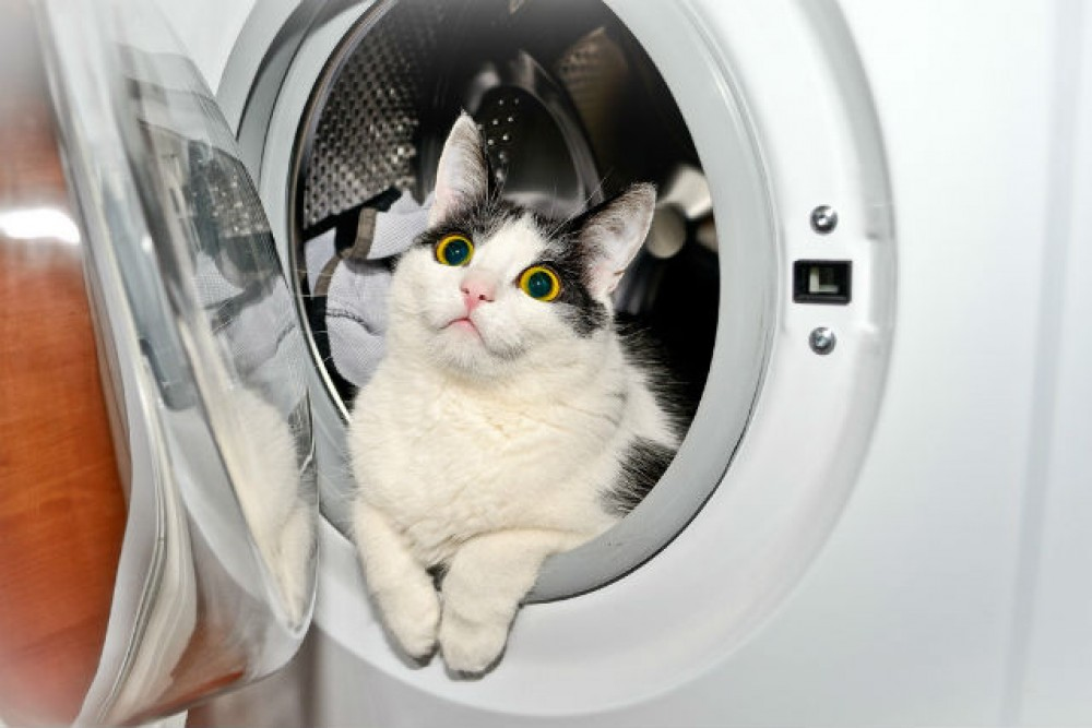 Скидка 10% на все средства для стирки