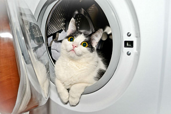 Скидка 10% на все средства для стирки