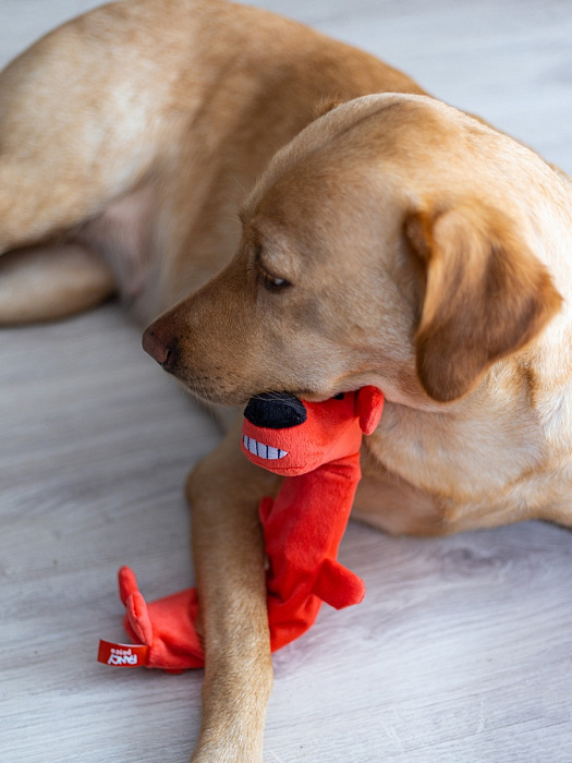 FANCY PETS Игрушка для собак, "Собака Шуршик", 29 см,арт.FPS18