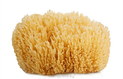 SUAVIPIEL Губка для мытья тела NATURAL SEA SPONGE