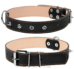CoLLaR Ошейник двойной для собак, с шипами,ширина 35 мм, длина 47-62 см, черный