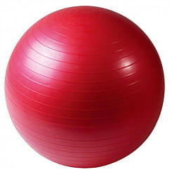 RELMAX  Мяч гимнастический 650гр. 55см