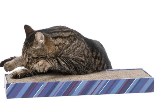 Trixie Когтеточка  для кошек "Scratchy", с кошачьей мятой, 13х48см