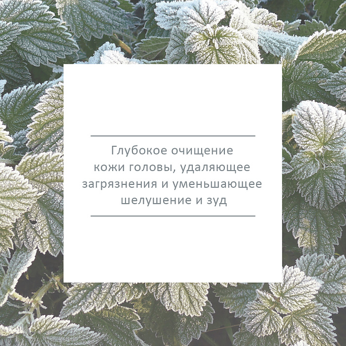 BIOCLIN BIO-CLEAN UP Крем-пилинг для всех типов волос, 6х5 мл