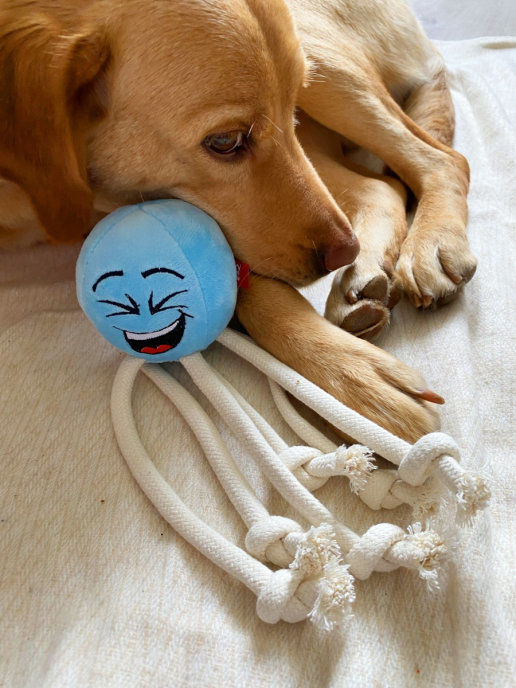 FANCY PETS Игрушка для собак "Осьминог" с пищалкой, 28 см,арт.FPS22