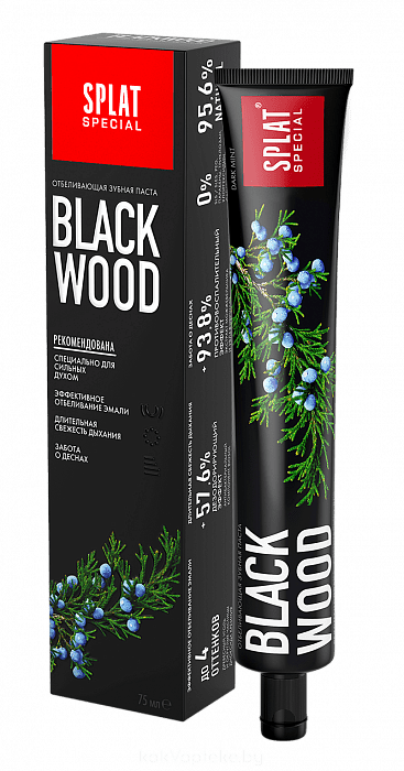 Splat Special Зубная паста Black Wood Черное дерево 75 мл.