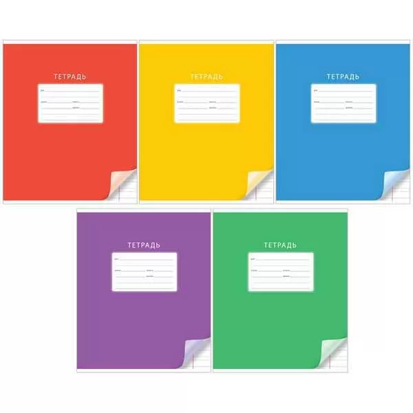 Значимость правильного выбора канцелярии для школьника