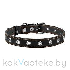 CoLLaR Ошейник безразмерный  для собак, ширина 25мм, длина 60см, черный