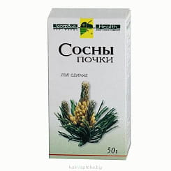 Сосны почки 