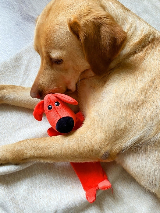 FANCY PETS Игрушка для собак, "Собака Шуршик", 29 см,арт.FPS18