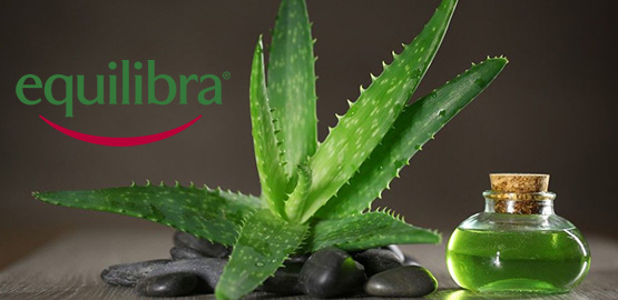 Новинки от Equilibra в нашем каталоге!