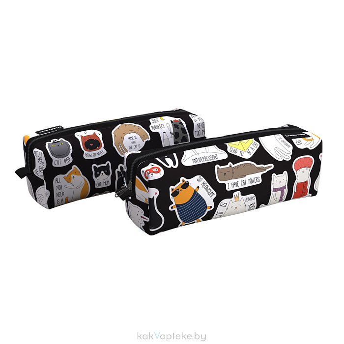 ErichKrause Пенал квадро 210x70x70мм Funny Kittens 57476