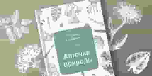 Книга, которую хочется прочитать!